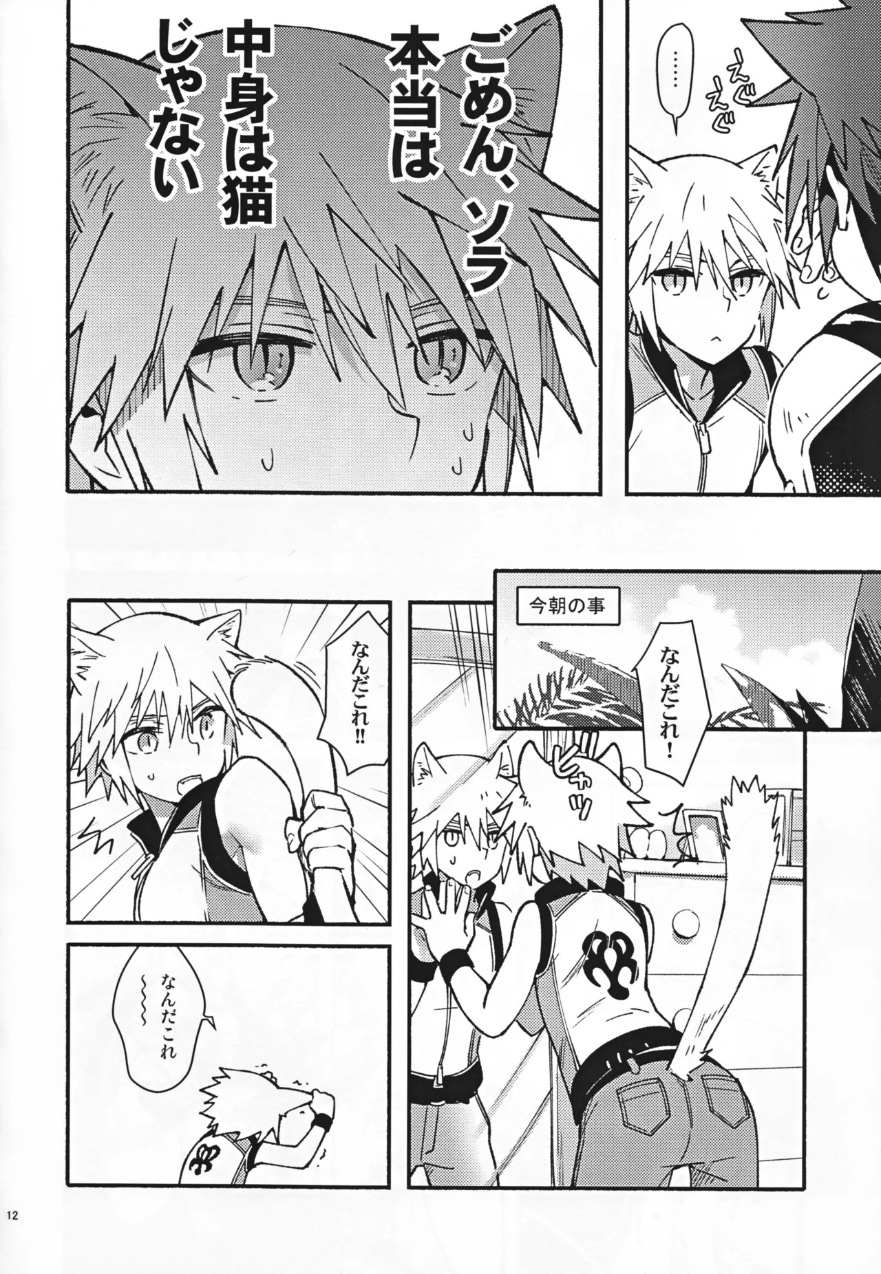 (C94) [esto (Ninomotoko)] Mahoni Kakerareta (Kingdom Hearts) - Page 11