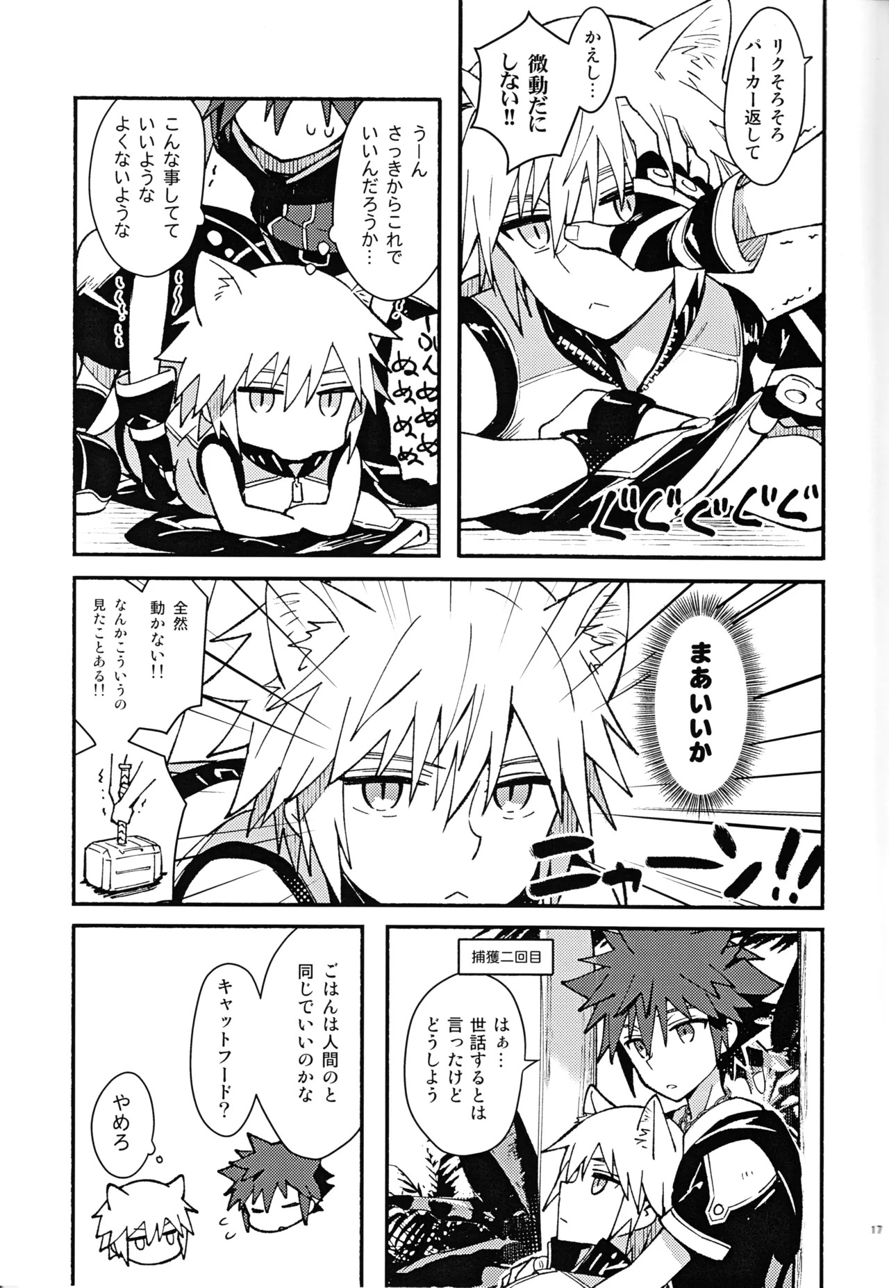 (C94) [esto (Ninomotoko)] Mahoni Kakerareta (Kingdom Hearts) - Page 16