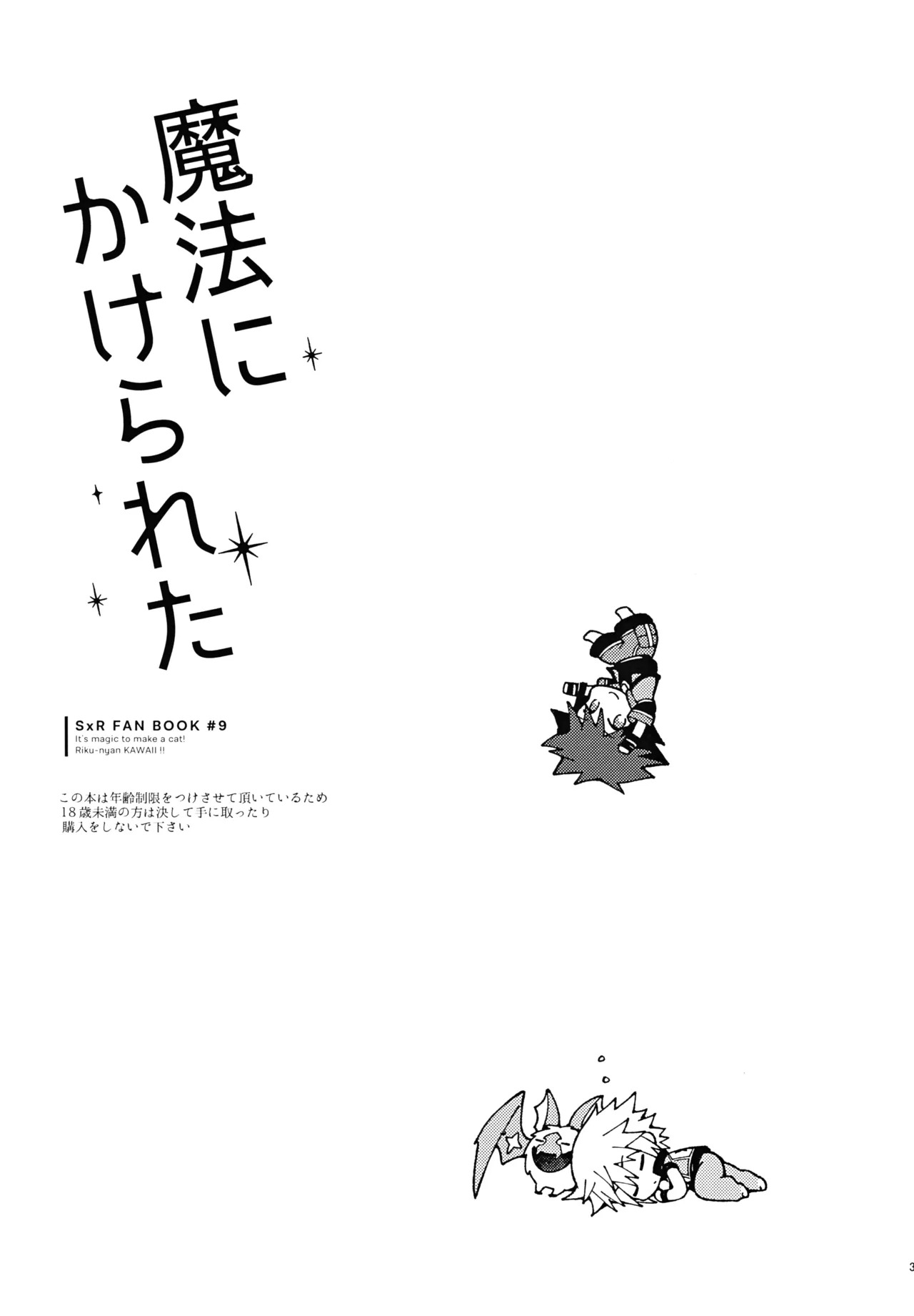 Preview page 2