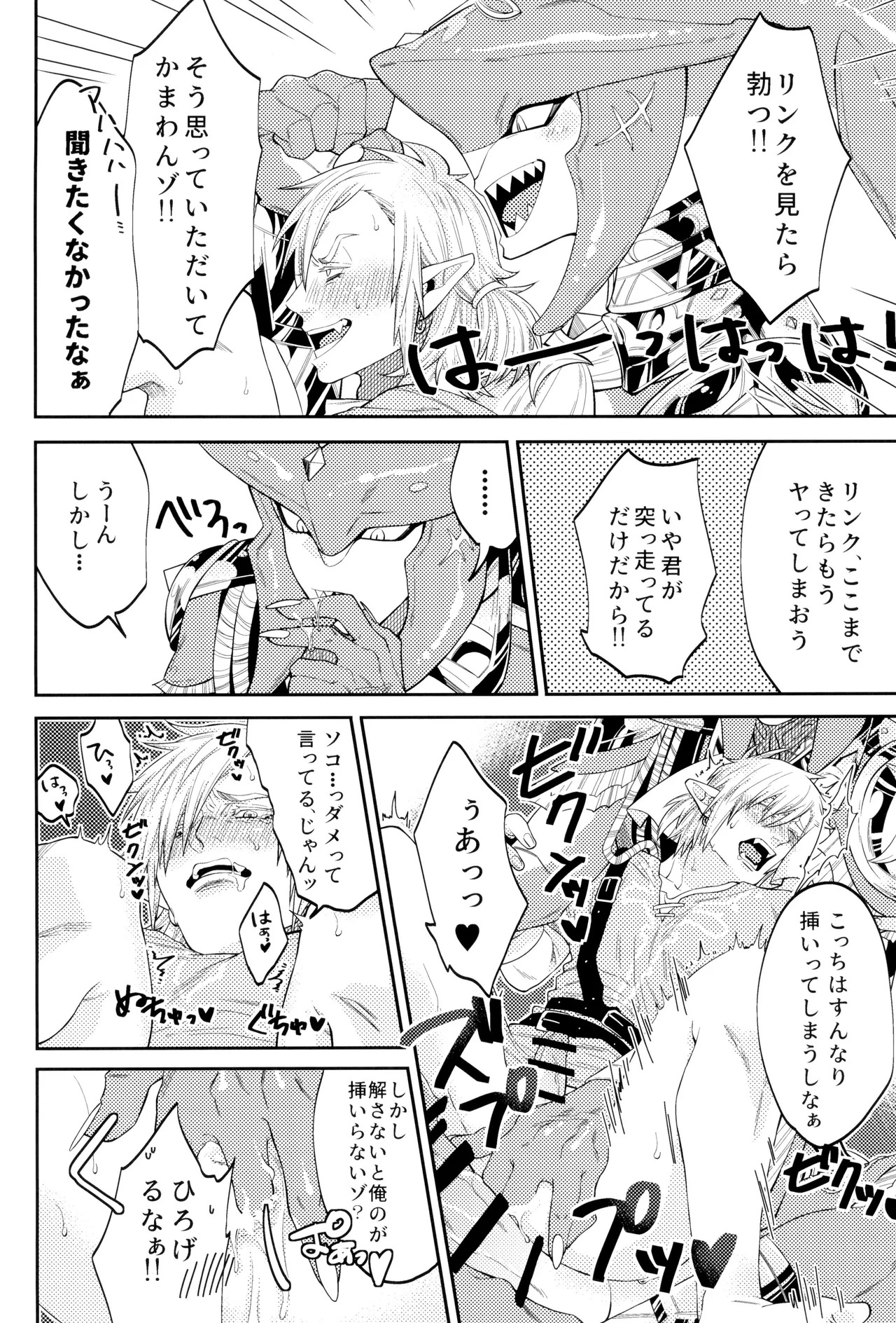 [Seitou bouei de HR (Ureshino Saneatsu)] WONDER (Legend of Zelda) - Page 14